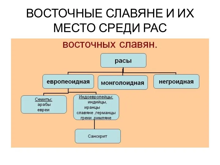 ВОСТОЧНЫЕ СЛАВЯНЕ И ИХ МЕСТО СРЕДИ РАС