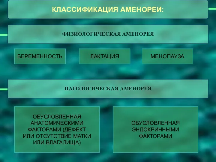 БЕРЕМЕННОСТЬ ЛАКТАЦИЯ МЕНОПАУЗА ОБУСЛОВЛЕННАЯ АНАТОМИЧЕСКИМИ ФАКТОРАМИ (ДЕФЕКТ ИЛИ ОТСУТСТВИЕ МАТКИ ИЛИ ВЛАГАЛИЩА) ОБУСЛОВЛЕННАЯ ЭНДОКРИННЫМИ ФАКТОРАМИ