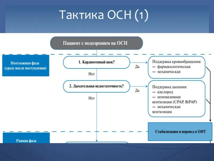 Тактика ОСН (1)