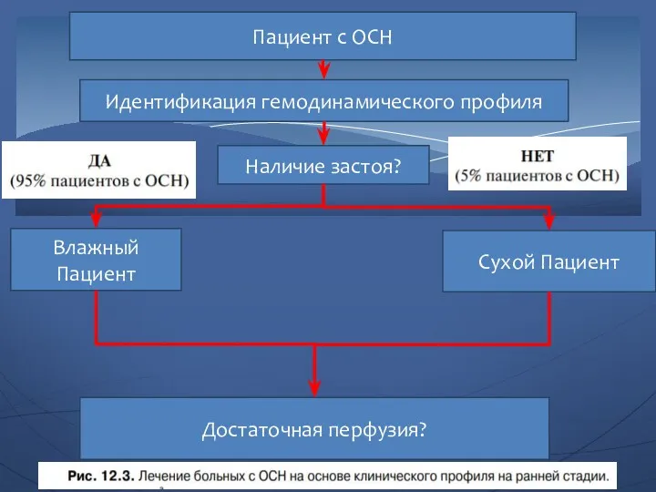 Пациент с ОСН Идентификация гемодинамического профиля Наличие застоя? Влажный Пациент Достаточная перфузия? Сухой Пациент