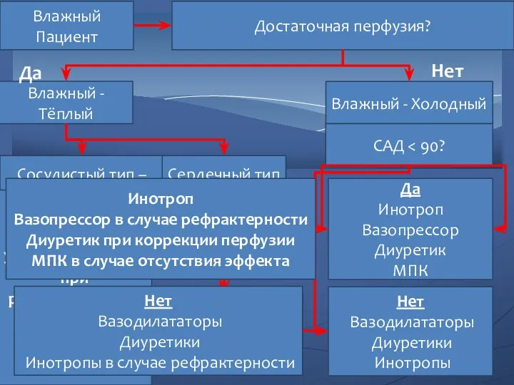 Влажный Пациент Достаточная перфузия? Влажный - Тёплый Влажный - Холодный