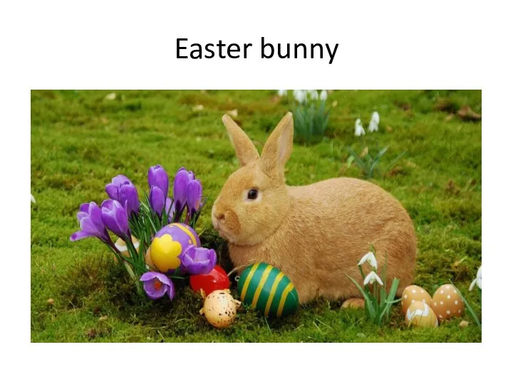 Easter bunny