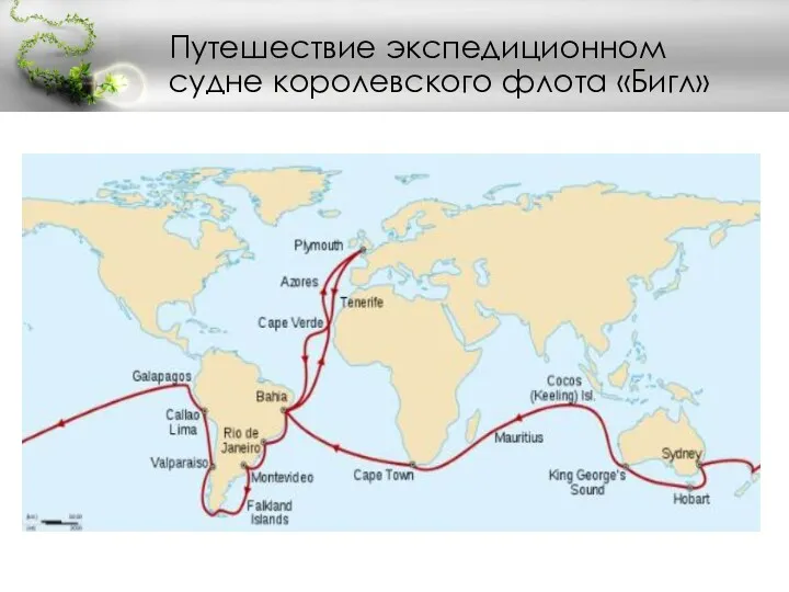 Путешествие экспедиционном судне королевского флота «Бигл»