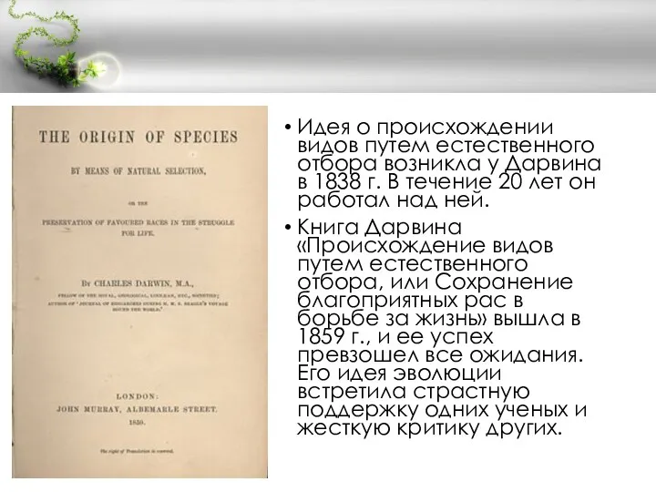 Идея о происхождении видов путем естественного отбора возникла у Дарвина