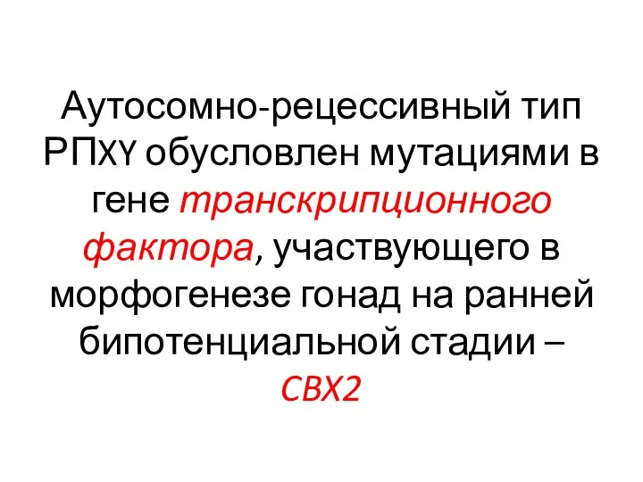 Аутосомно-рецессивный тип РПXY обусловлен мутациями в гене транскрипционного фактора, участвующего