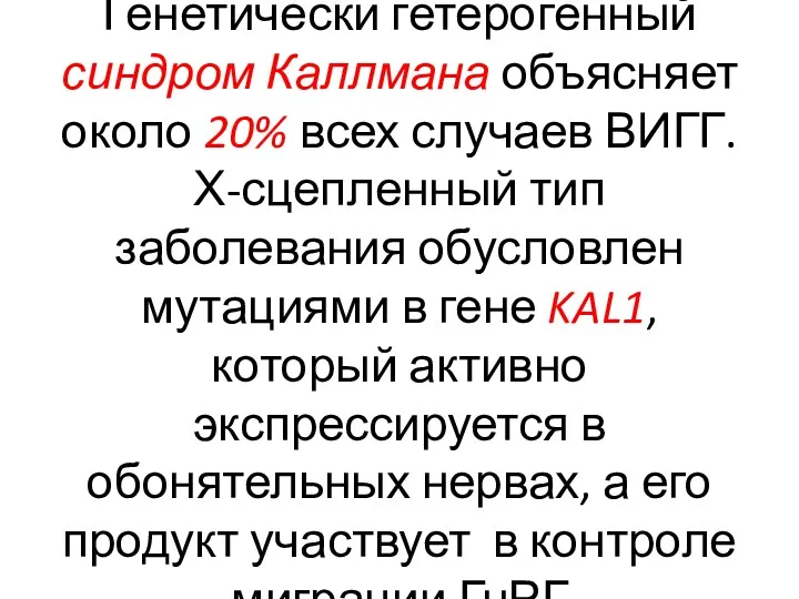 Генетически гетерогенный синдром Каллмана объясняет около 20% всех случаев ВИГГ. Х-сцепленный тип заболевания