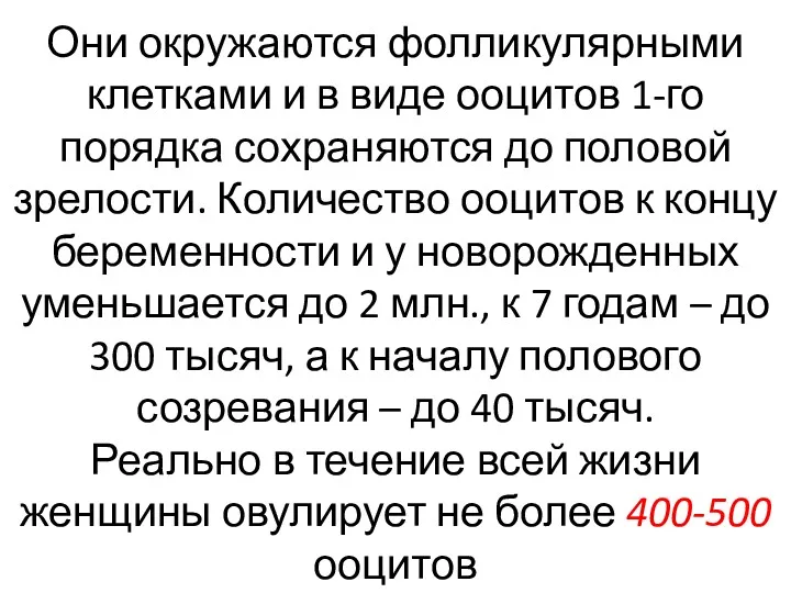 Они окружаются фолликулярными клетками и в виде ооцитов 1-го порядка сохраняются до половой