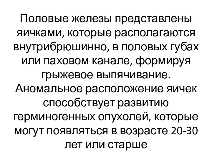 Половые железы представлены яичками, которые располагаются внутрибрюшинно, в половых губах