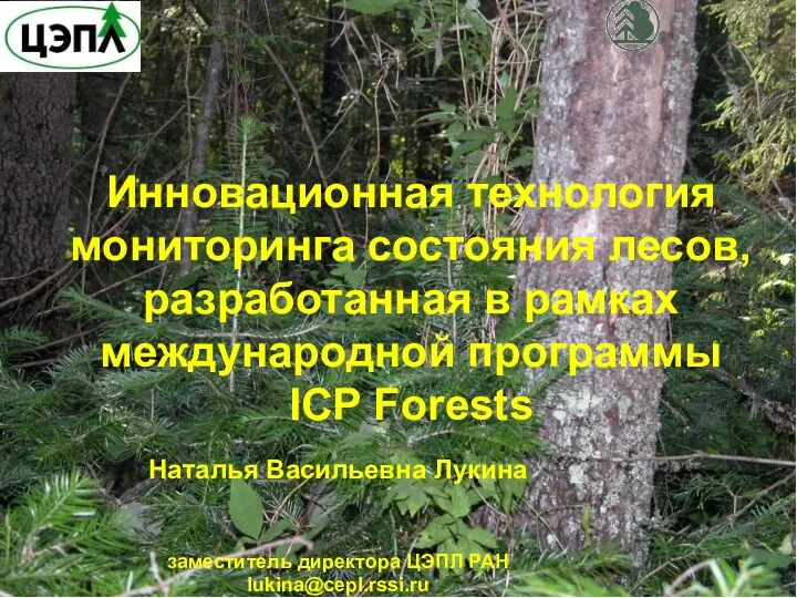 Инновационная технология мониторинга состояния лесов, разработанная в рамках международной программы ICP Forests Наталья