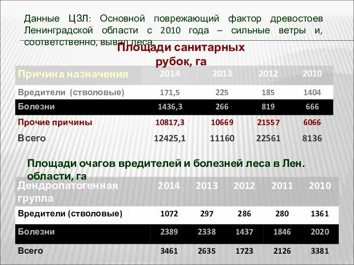 Данные ЦЗЛ: Основной поврежающий фактор древостоев Ленинградской области с 2010 года – сильные