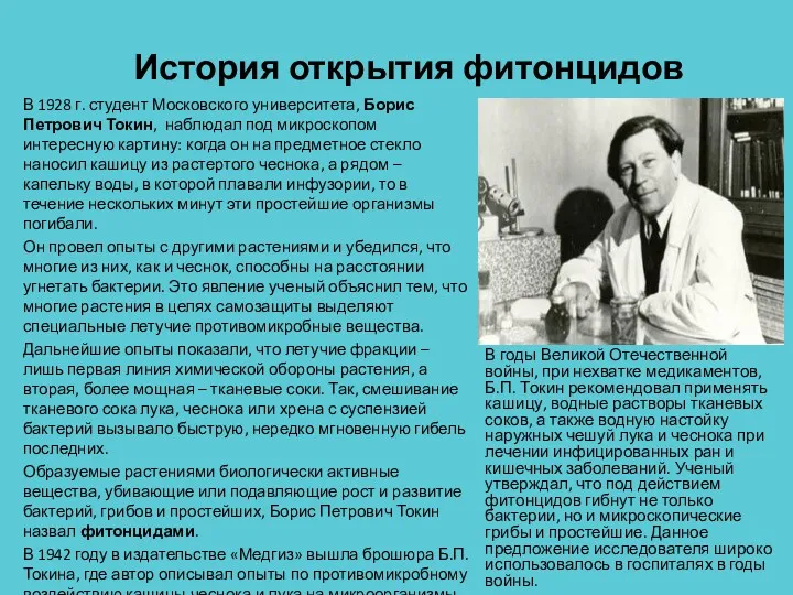 История открытия фитонцидов В годы Великой Отечественной войны, при нехватке медикаментов, Б.П. Токин