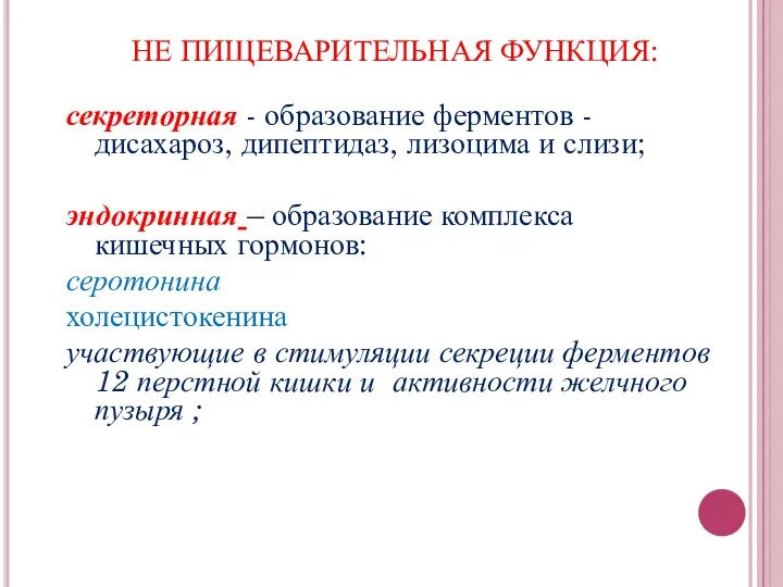 НЕ ПИЩЕВАРИТЕЛЬНАЯ ФУНКЦИЯ: секреторная - образование ферментов -дисахароз, дипептидаз, лизоцима