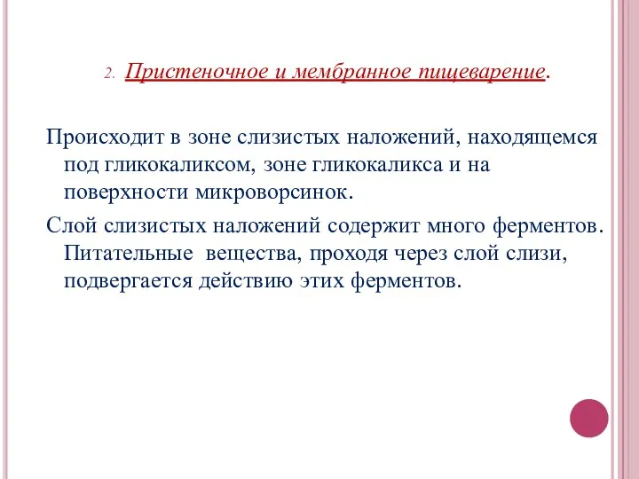 Пристеночное и мембранное пищеварение. Происходит в зоне слизистых наложений, находящемся