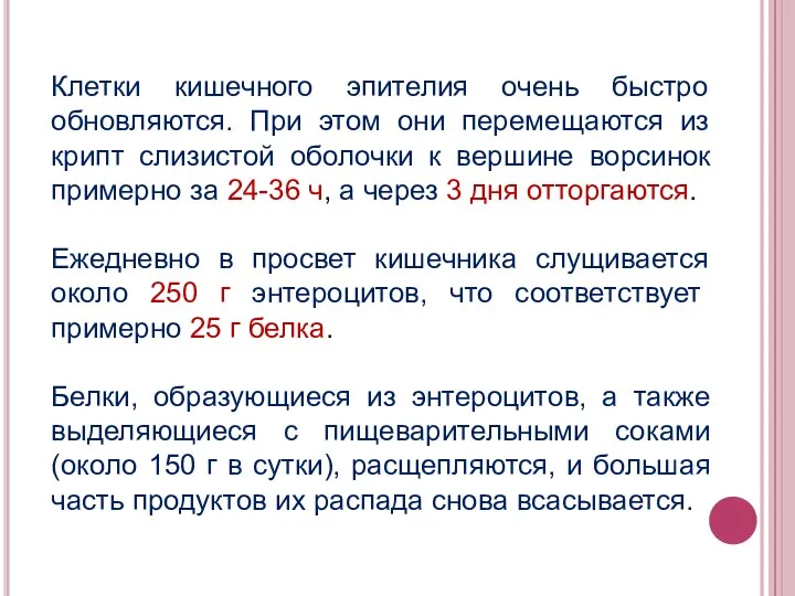 Клетки кишечного эпителия очень быстро обновляются. При этом они перемещаются