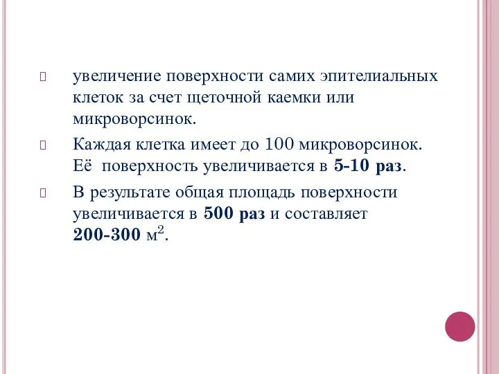 увеличение поверхности самих эпителиальных клеток за счет щеточной каемки или