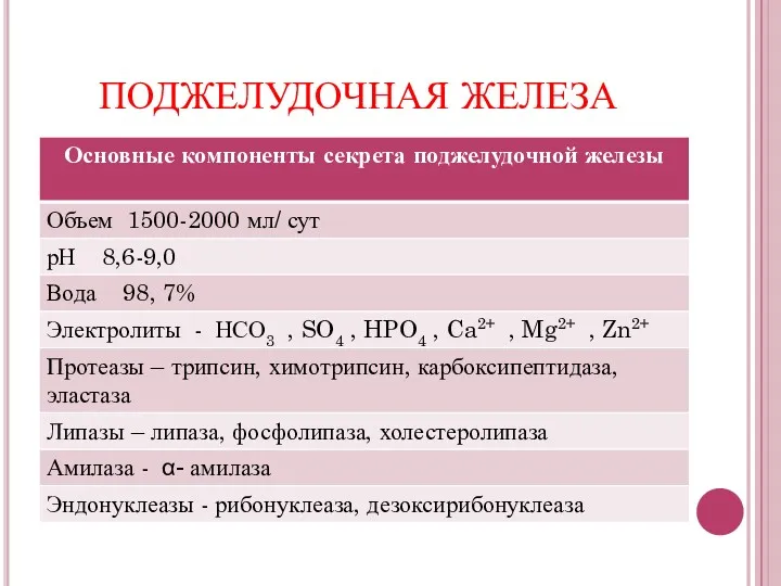 ПОДЖЕЛУДОЧНАЯ ЖЕЛЕЗА