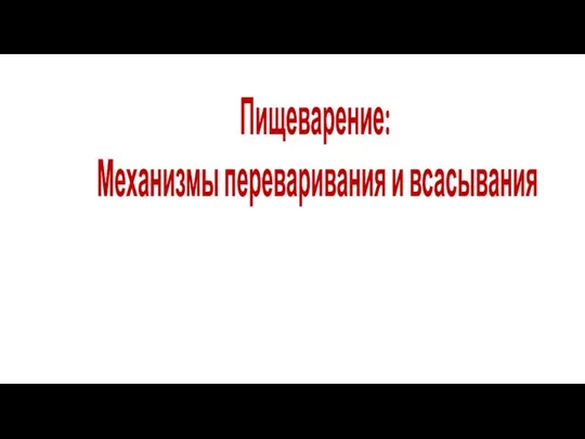 Пищеварение: Механизмы переваривания и всасывания