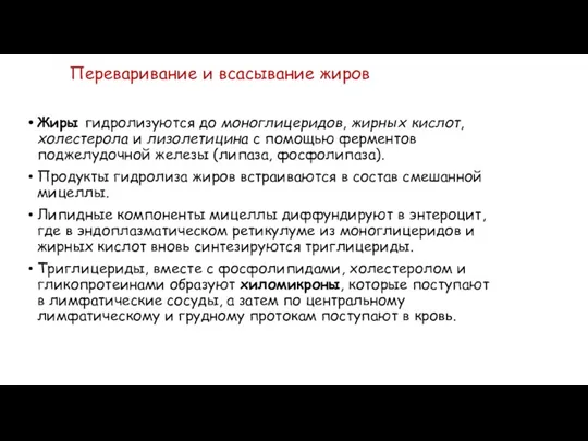 Переваривание и всасывание жиров Жиры гидролизуются до моноглицеридов, жирных кислот,