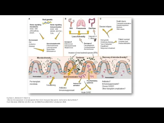 Espinoza JL, Wadasaki Y, Takami A. Infection Complications in Hematopoietic