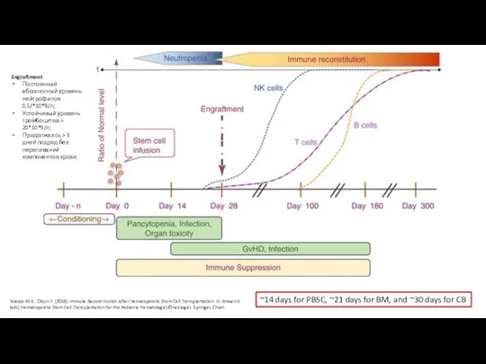 Talekar M.K., Olson T. (2018) Immune Reconstitution After Hematopoietic Stem