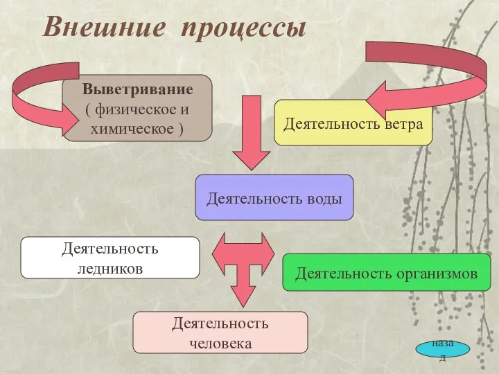 Внешние процессы Выветривание ( физическое и химическое ) Деятельность воды