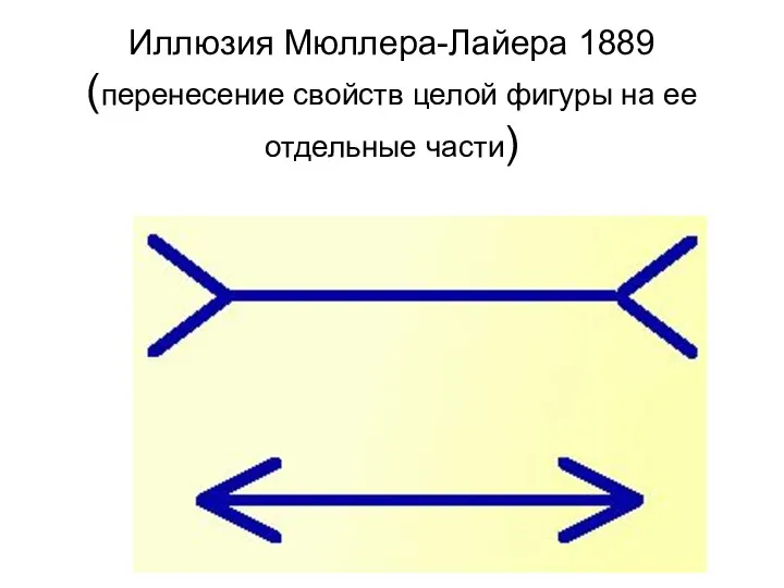 Иллюзия Мюллера-Лайера 1889 (перенесение свойств целой фигуры на ее отдельные части)