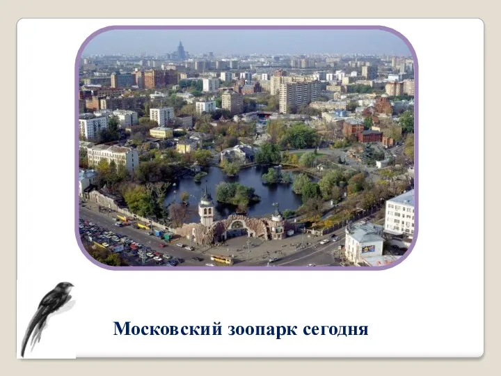 Московский зоопарк сегодня