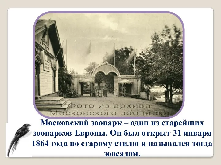 Московский зоопарк – один из старейших зоопарков Европы. Он был