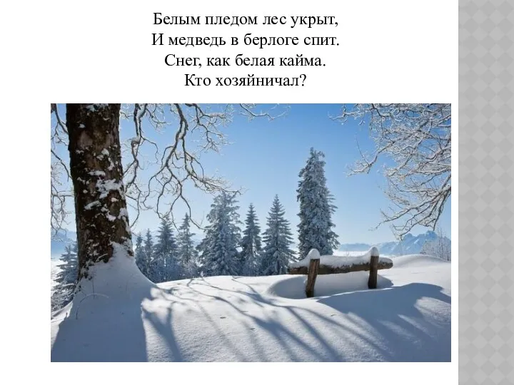 Белым пледом лес укрыт, И медведь в берлоге спит. Снег, как белая кайма. Кто хозяйничал?