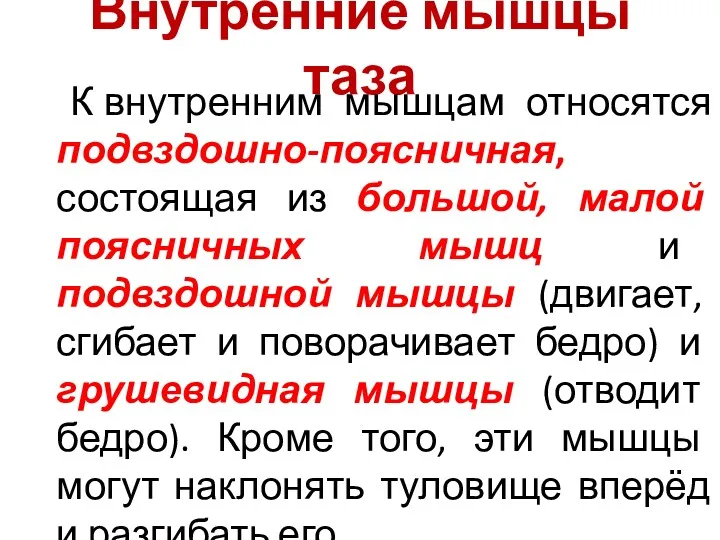 Внутренние мышцы таза К внутренним мышцам относятся подвздошно-поясничная, состоящая из