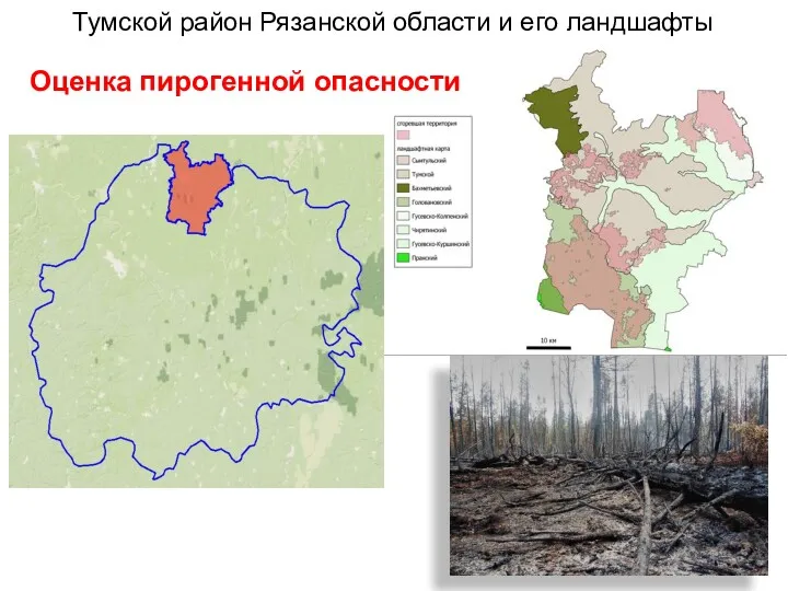 Территория исследования Тумской район Рязанской области и его ландшафты Оценка пирогенной опасности