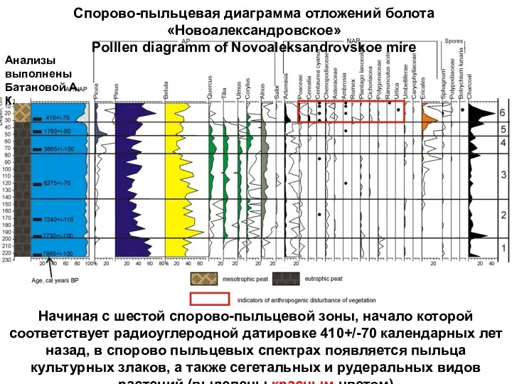 Спорово-пыльцевая диаграмма отложений болота «Новоалександровское» Polllen diagramm of Novoaleksandrovskoe mire Начиная с шестой