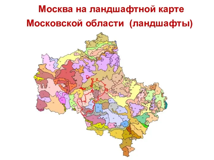 Москва на ландшафтной карте Московской области (ландшафты)