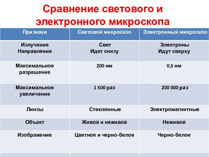 Сравнение светового и электронного микроскопа