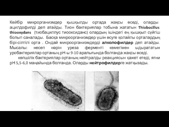 Кейбір микрорганизмдер қышқылды ортада жақсы өседі, оларды ацилдофилді деп атайды.