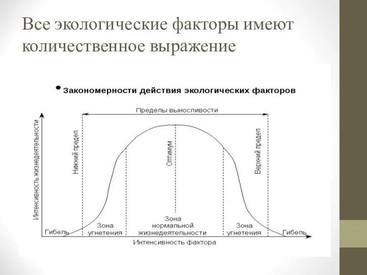 Все экологические факторы имеют количественное выражение