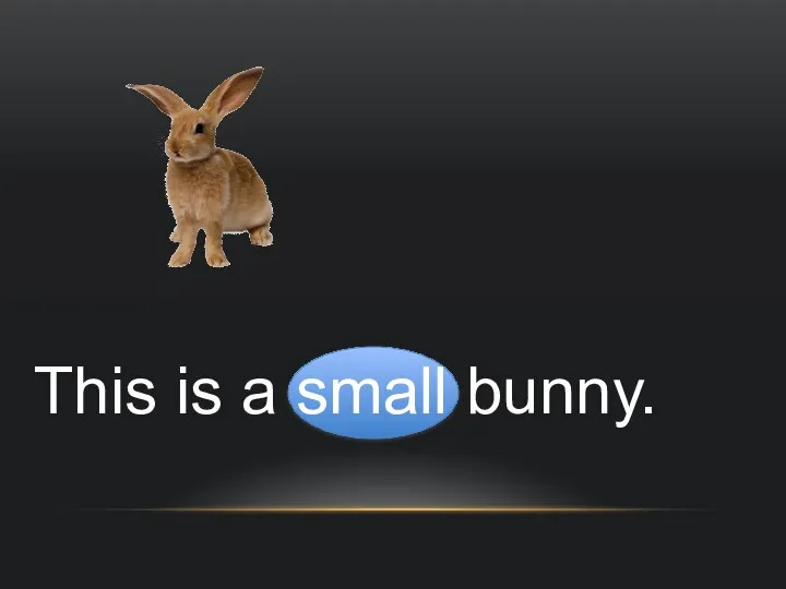 This is a small bunny.