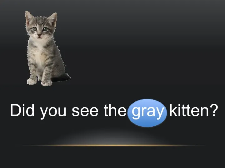 Did you see the gray kitten?