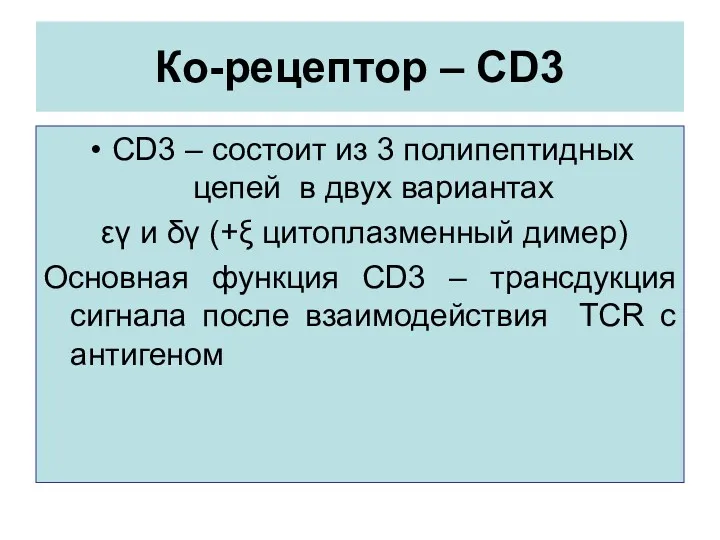 Ко-рецептор – CD3 CD3 – состоит из 3 полипептидных цепей