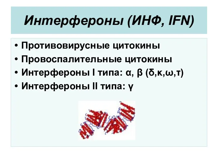 Интерфероны (ИНФ, IFN) Противовирусные цитокины Провоспалительные цитокины Интерфероны I типа: