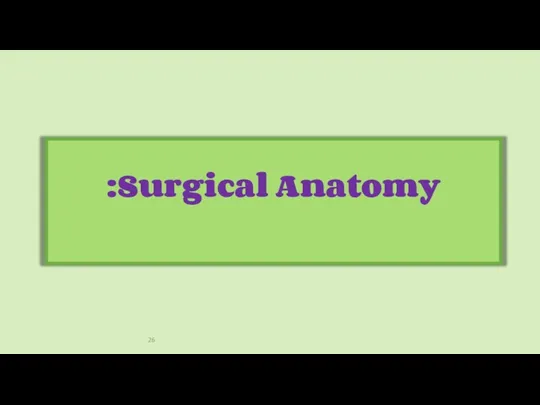 Surgical Anatomy: