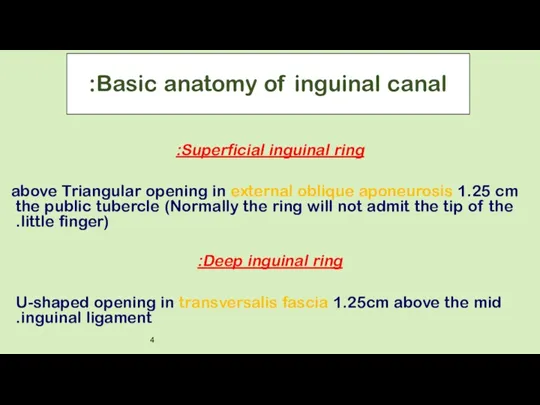Basic anatomy of inguinal canal: Superficial inguinal ring: Triangular opening