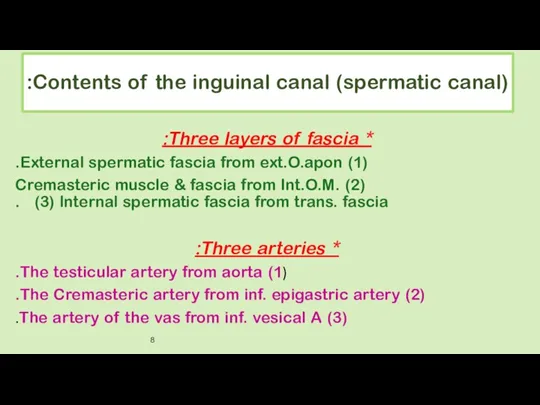 Contents of the inguinal canal (spermatic canal): * Three layers