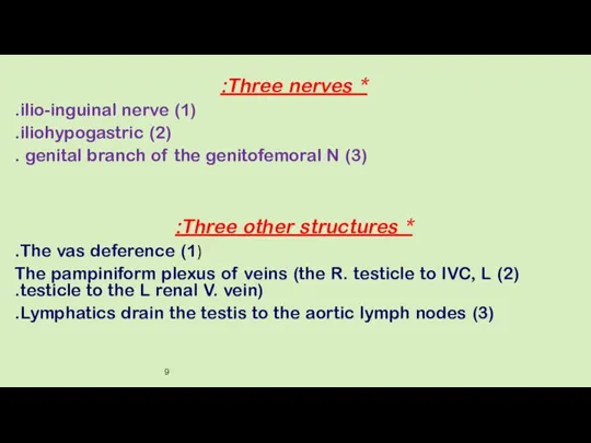 * Three nerves: (1) ilio-inguinal nerve. (2) iliohypogastric. (3) genital