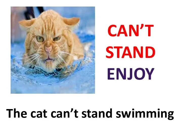 CAN’T STAND ENJOY The cat can’t stand swimming