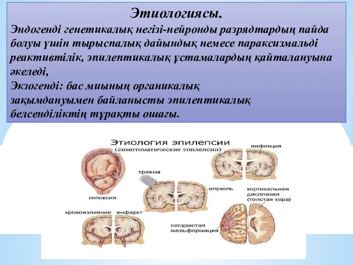 Этиологиясы. Эндогенді генетикалық негізі-нейронды разрядтардың пайда болуы үшін тырыспалық дайындық