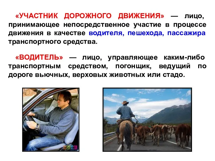 «УЧАСТНИК ДОРОЖНОГО ДВИЖЕНИЯ» — лицо, принимающее непосредственное участие в процессе