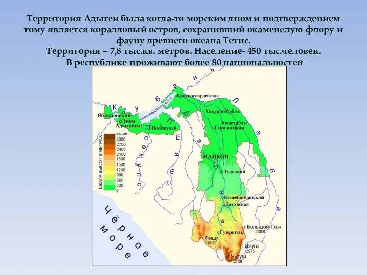 Территория Адыгеи была когда-то морским дном и подтверждением тому является