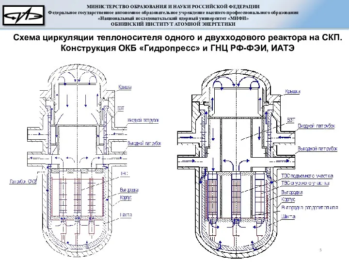 Схема циркуляции теплоносителя одного и двухходового реактора на СКП. Конструкция ОКБ «Гидропресс» и ГНЦ РФ-ФЭИ, ИАТЭ