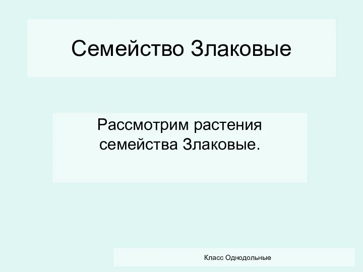 Класс Однодольные Семейство Злаковые Рассмотрим растения семейства Злаковые.